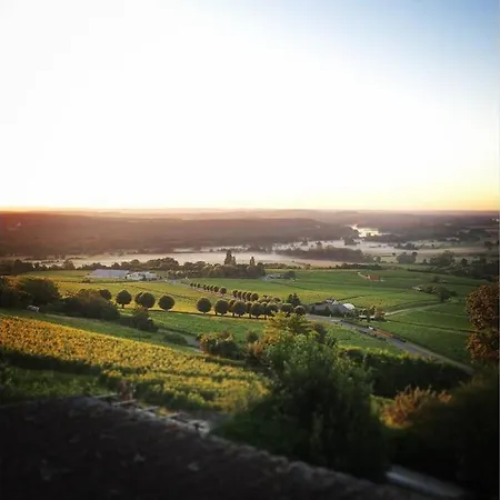 Appartement Vue panoramique sur le vignoble à Sancerre Extérieur photo