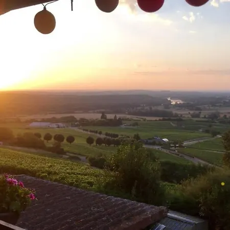 Appartement Vue panoramique sur le vignoble à Sancerre Extérieur photo