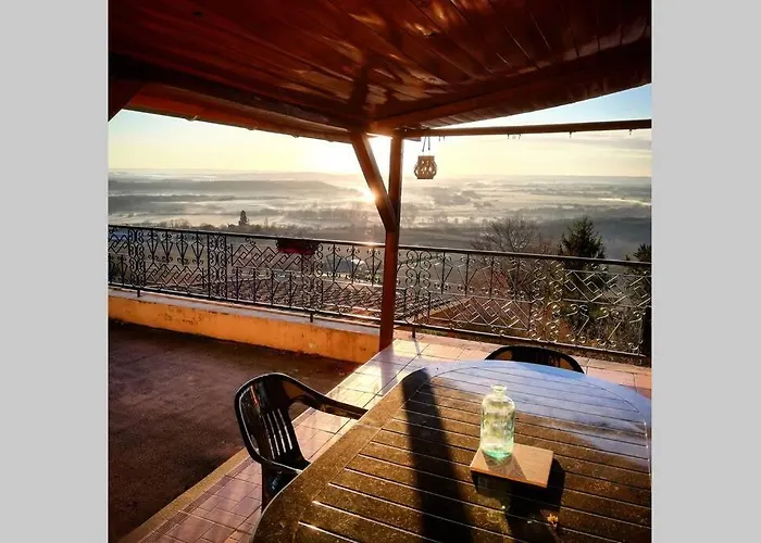 Vue Panoramique Sur Le Vignoble