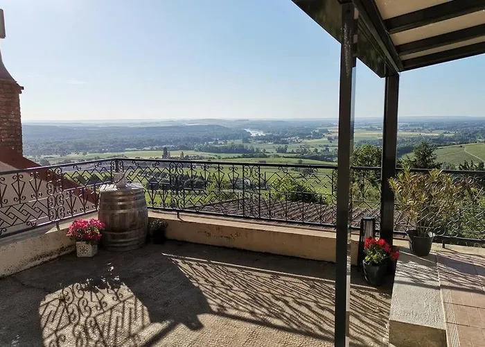 Vue Panoramique Sur Le Vignoble