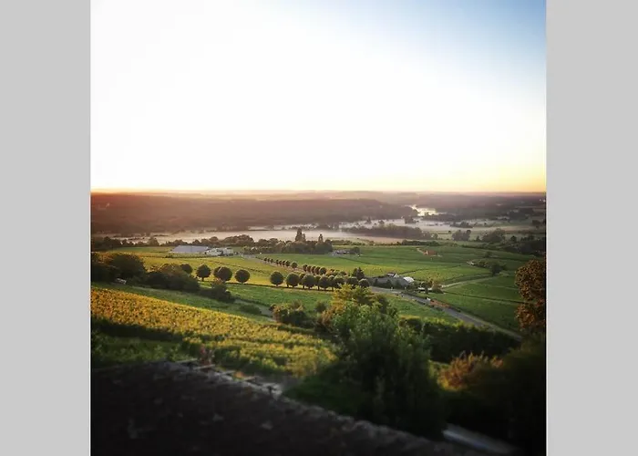 Vue Panoramique Sur Le Vignoble