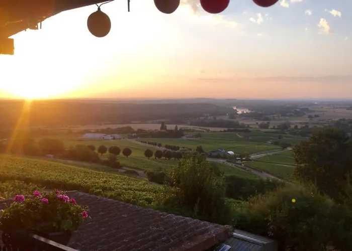 Vue Panoramique Sur Le Vignoble