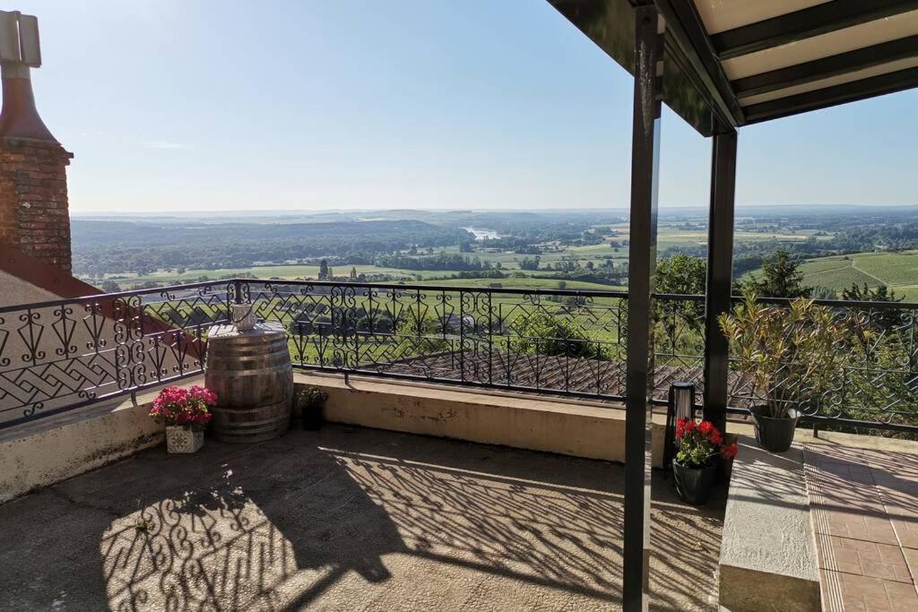 Vue Panoramique Sur Le Vignoble *