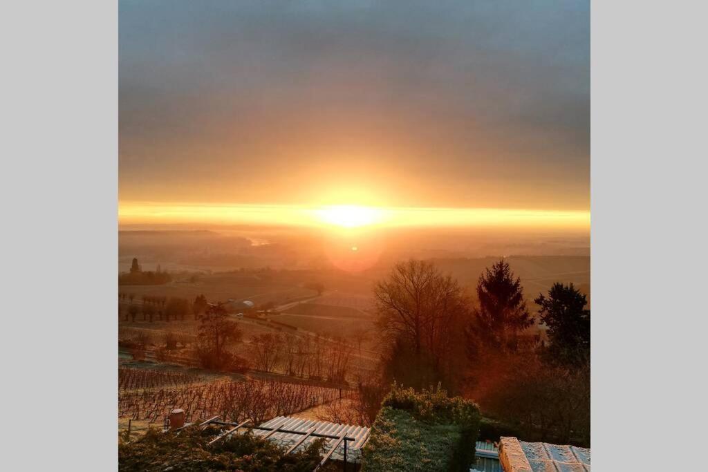 Vue Panoramique Sur Le Vignoble Appartement Sancerre
