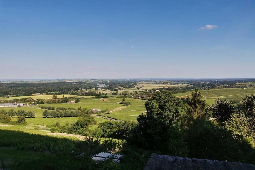 Vue Panoramique Sur Le Vignoble Appartement *